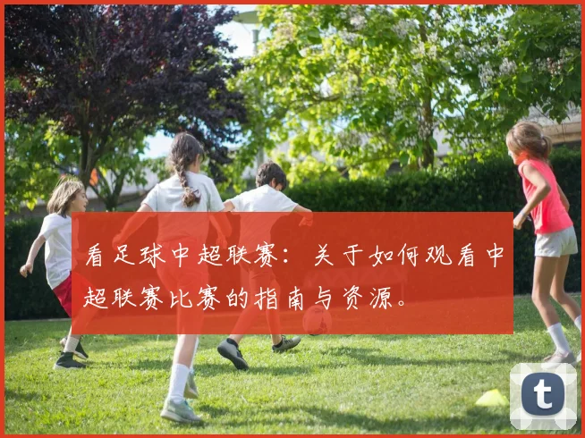 看足球中超联赛：关于如何观看中超联赛比赛的指南与资源。