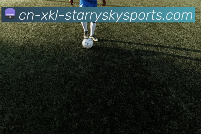 星空体育平台生态图